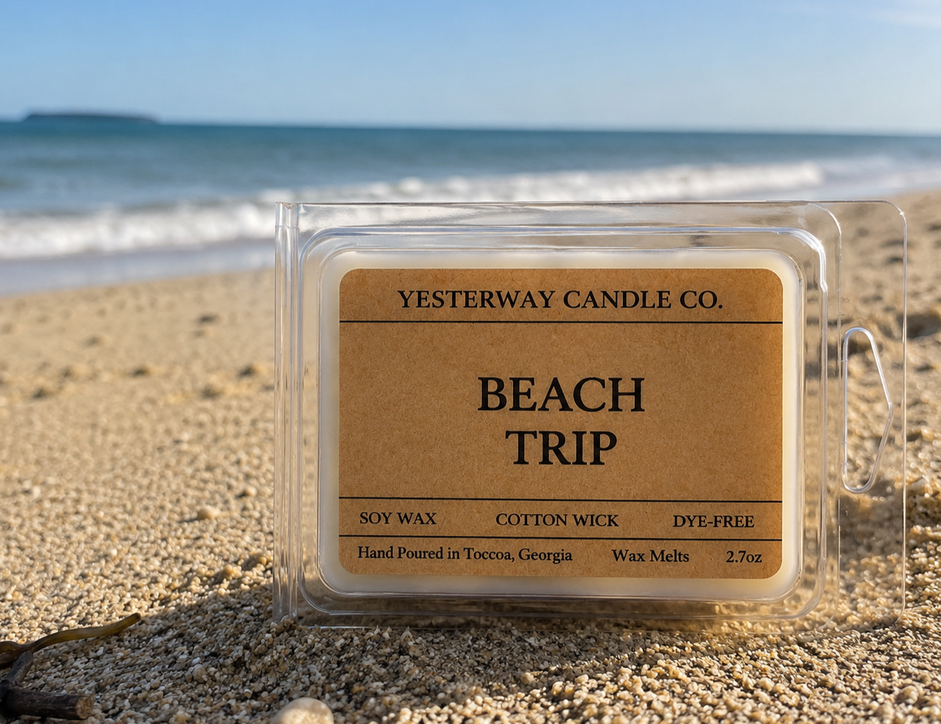 Beach Trip-Melt